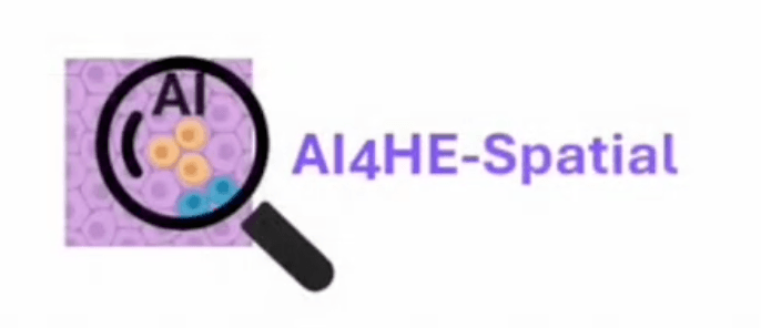 AI-Powered H&E Visualization Tool